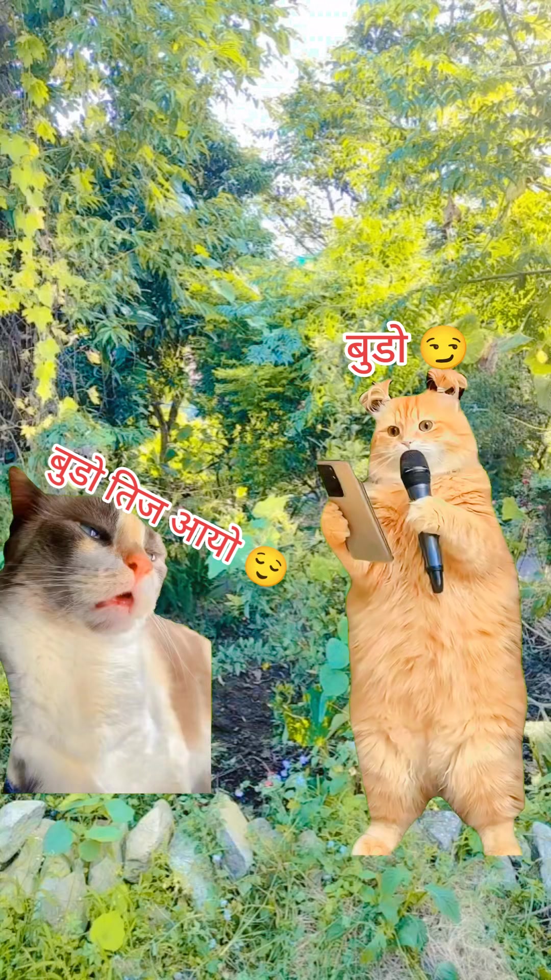 @Sumi Basnet