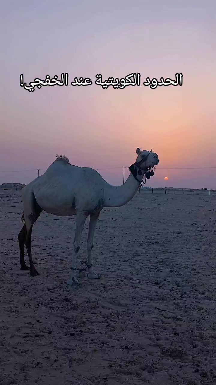 @T starTareq(Al Khafji)🇸🇦🇧🇩