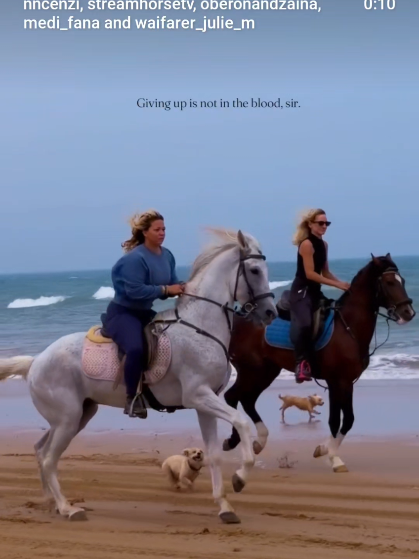 @streamhorse