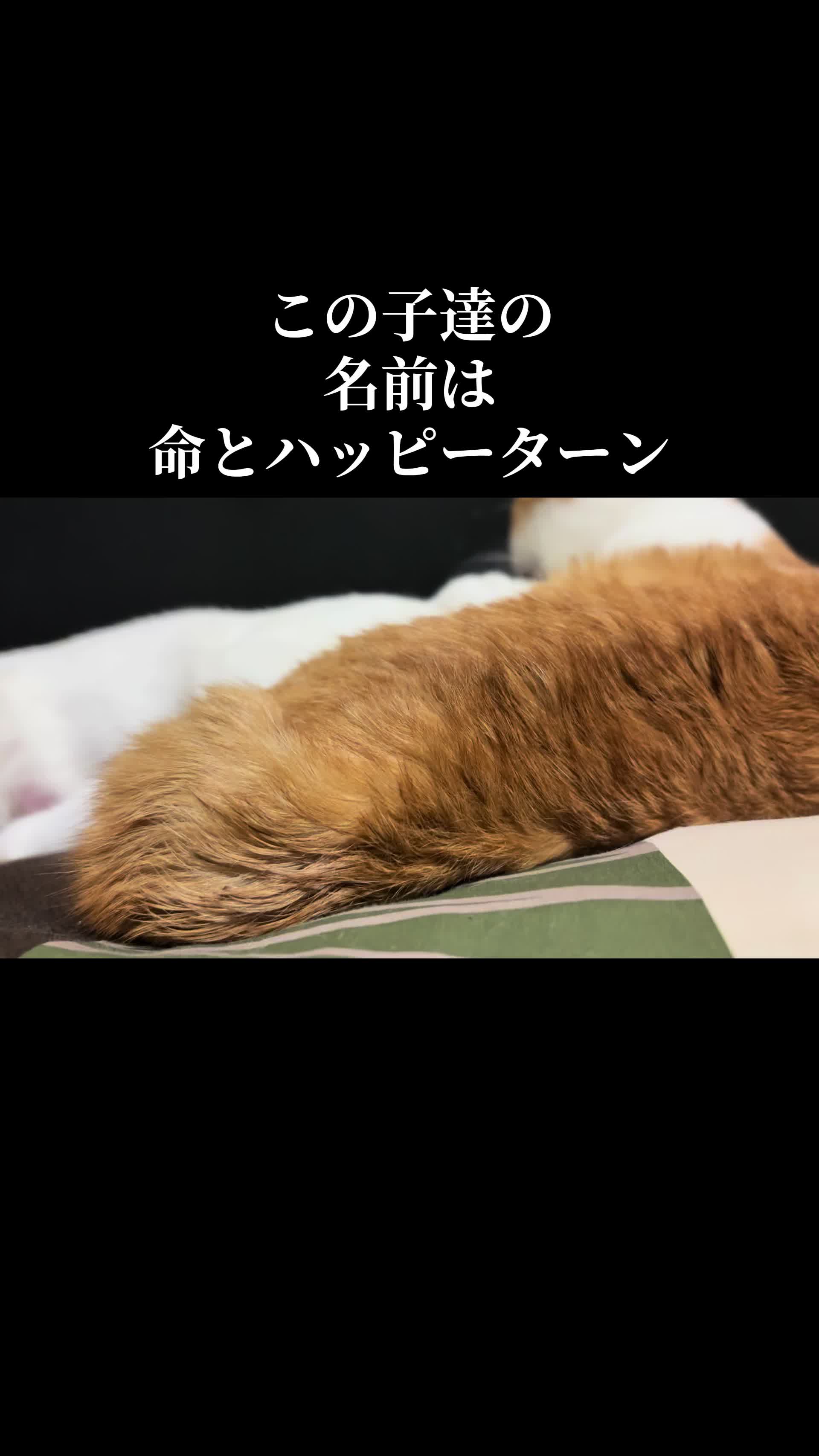 @ブルースカイの倫