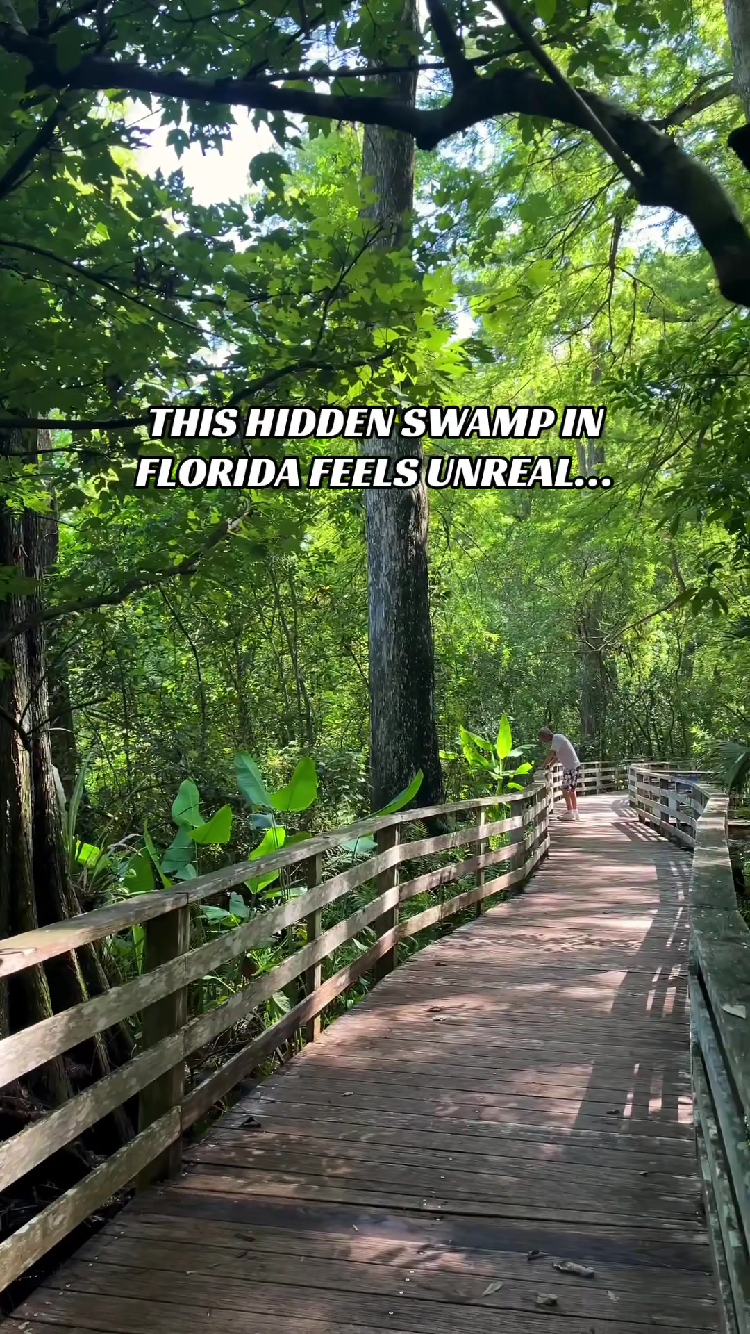 @Must See Florida