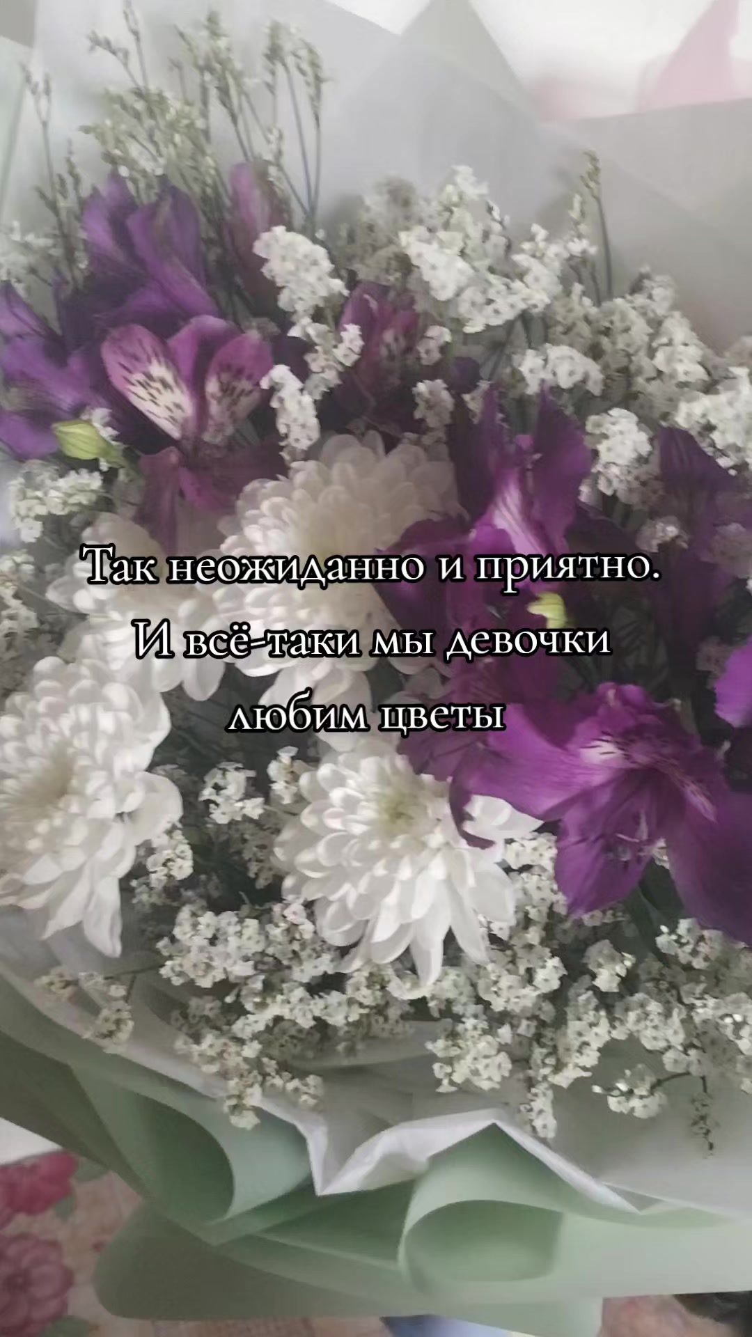 @🕷️allaЯ🕷️