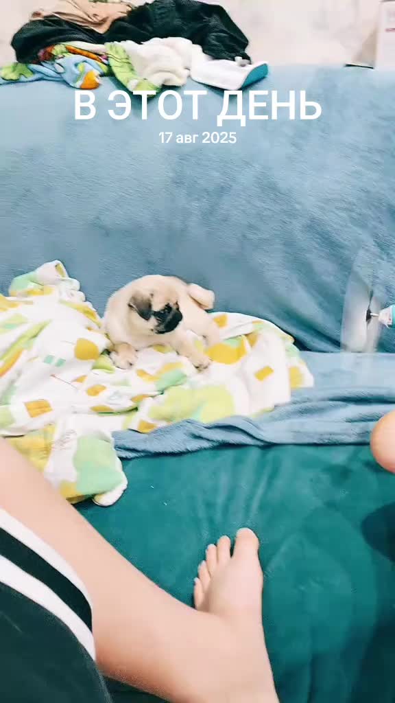 @ЧИПУНЕТСКИЙ