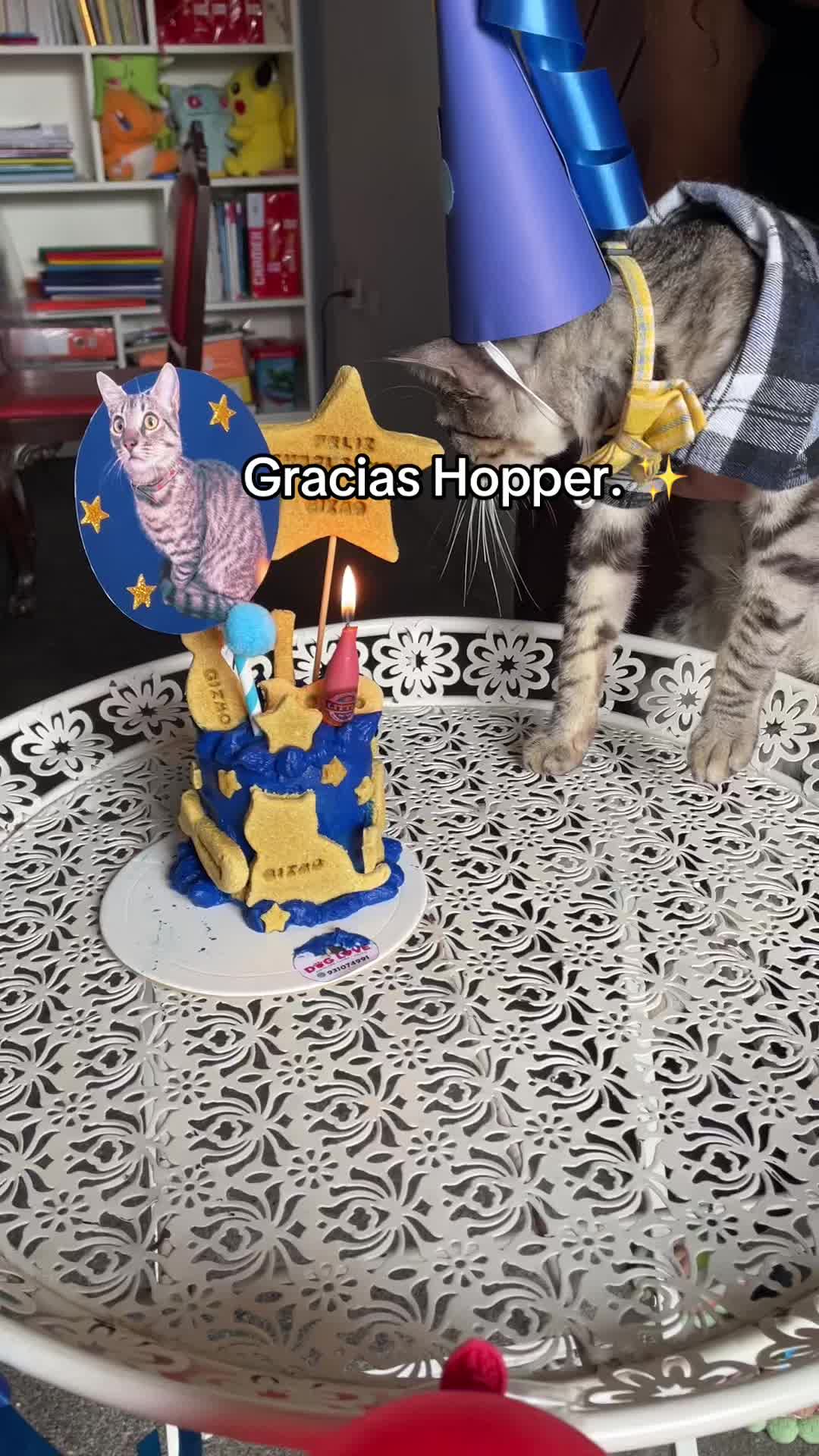 @posmiau.pe