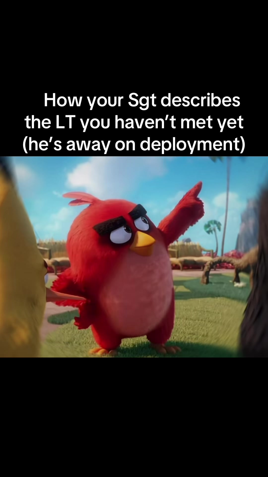 @GORU