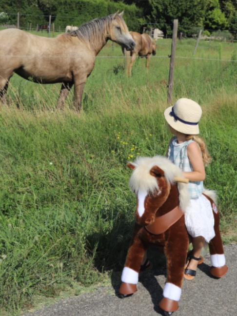 @PonyCycle