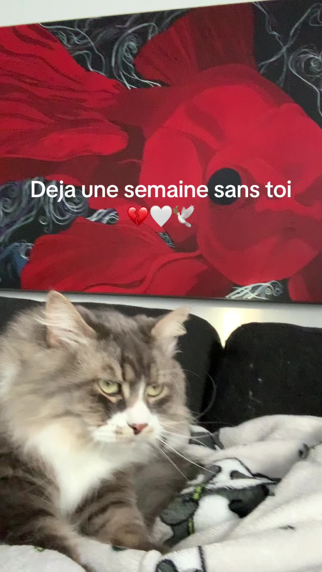 @Emma Grey