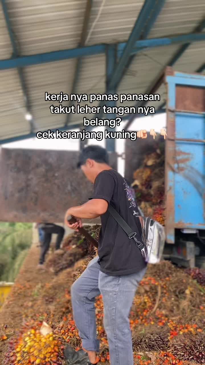 @p1hengboy