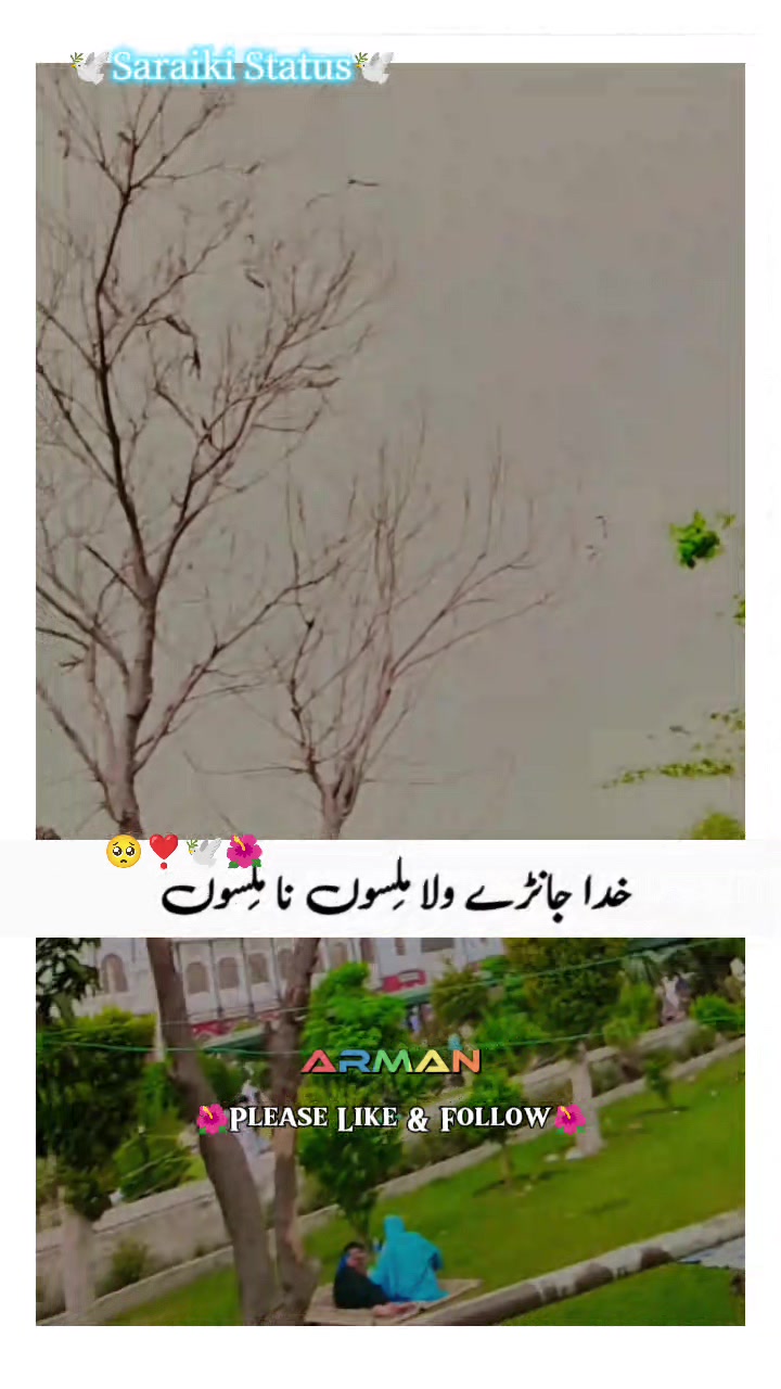 @ransshahid472