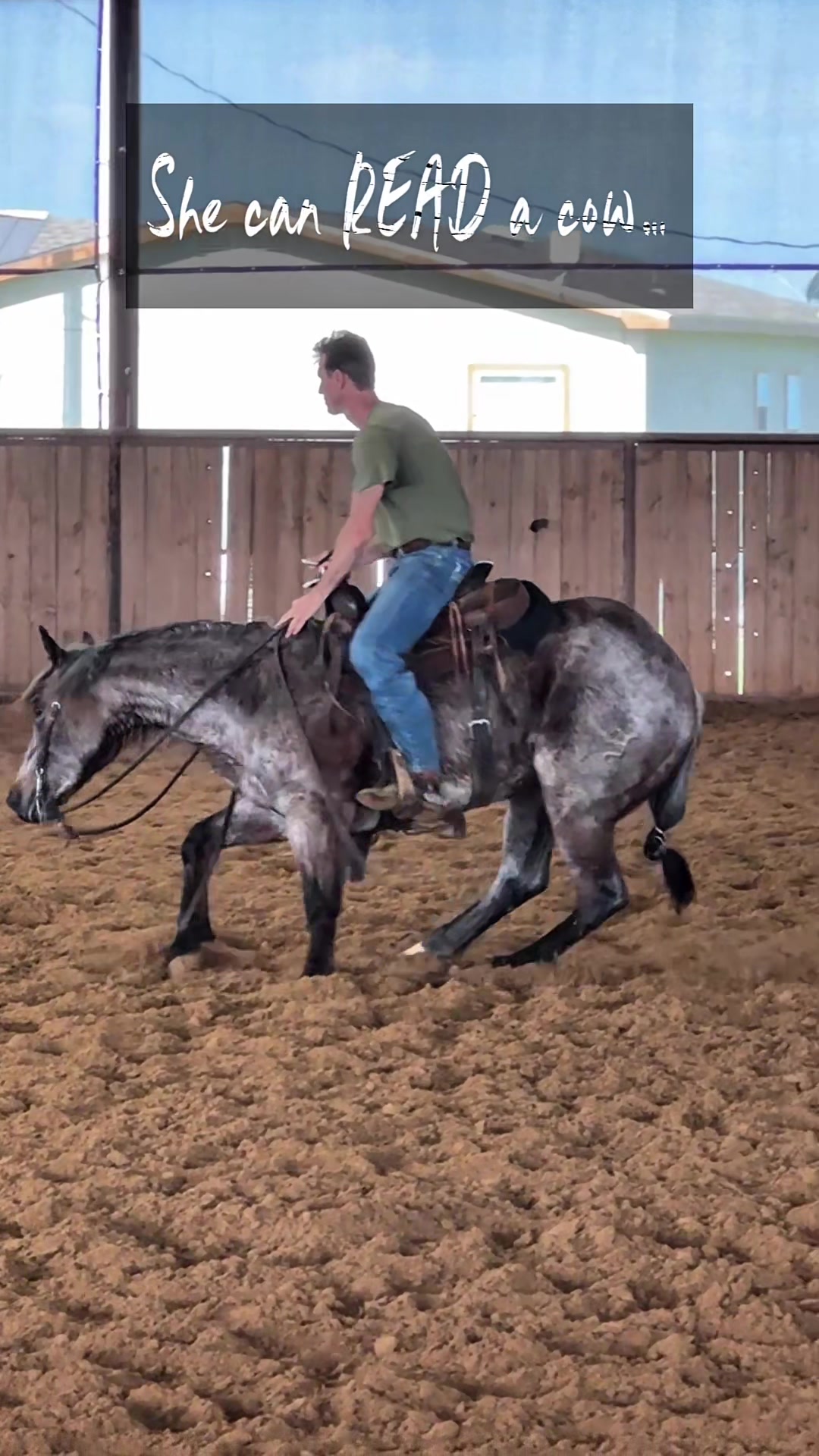 @rtabogacuttinghorses