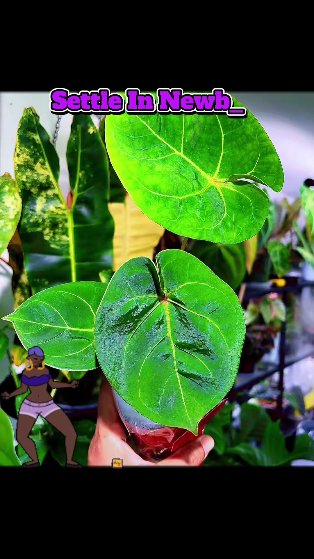 @PlantLadyNico🪴