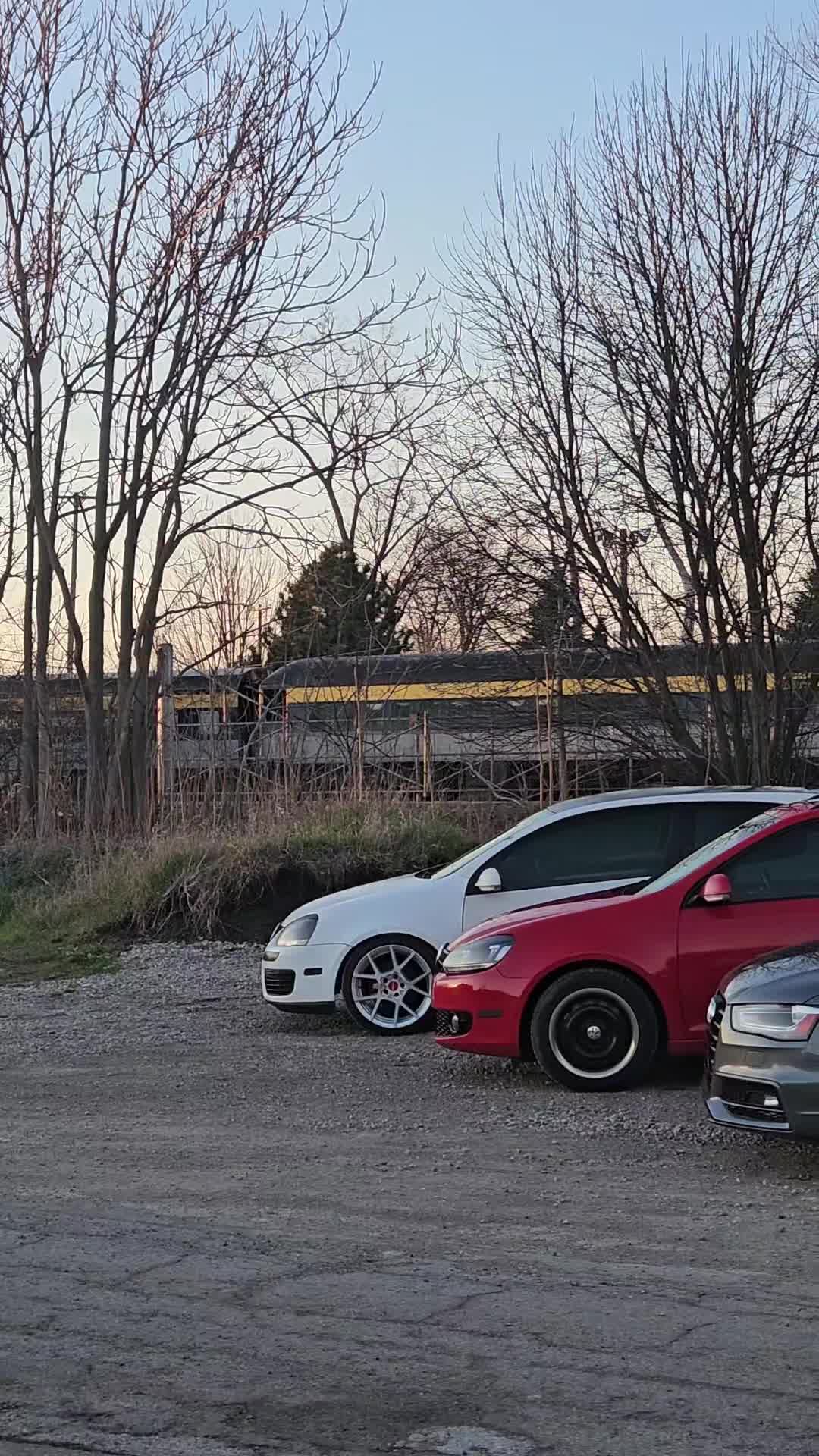 @musTURDstang