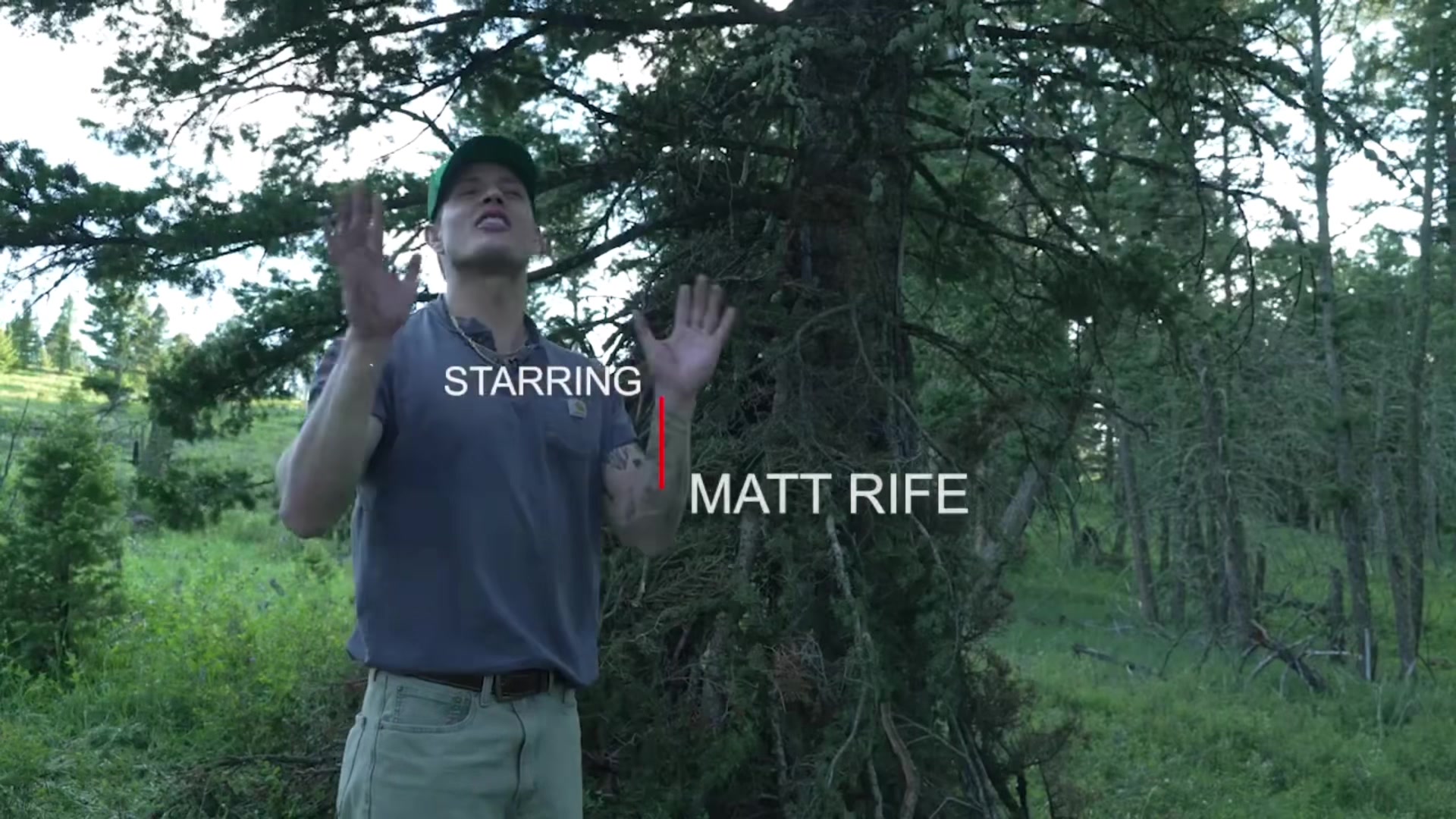 @Kyle