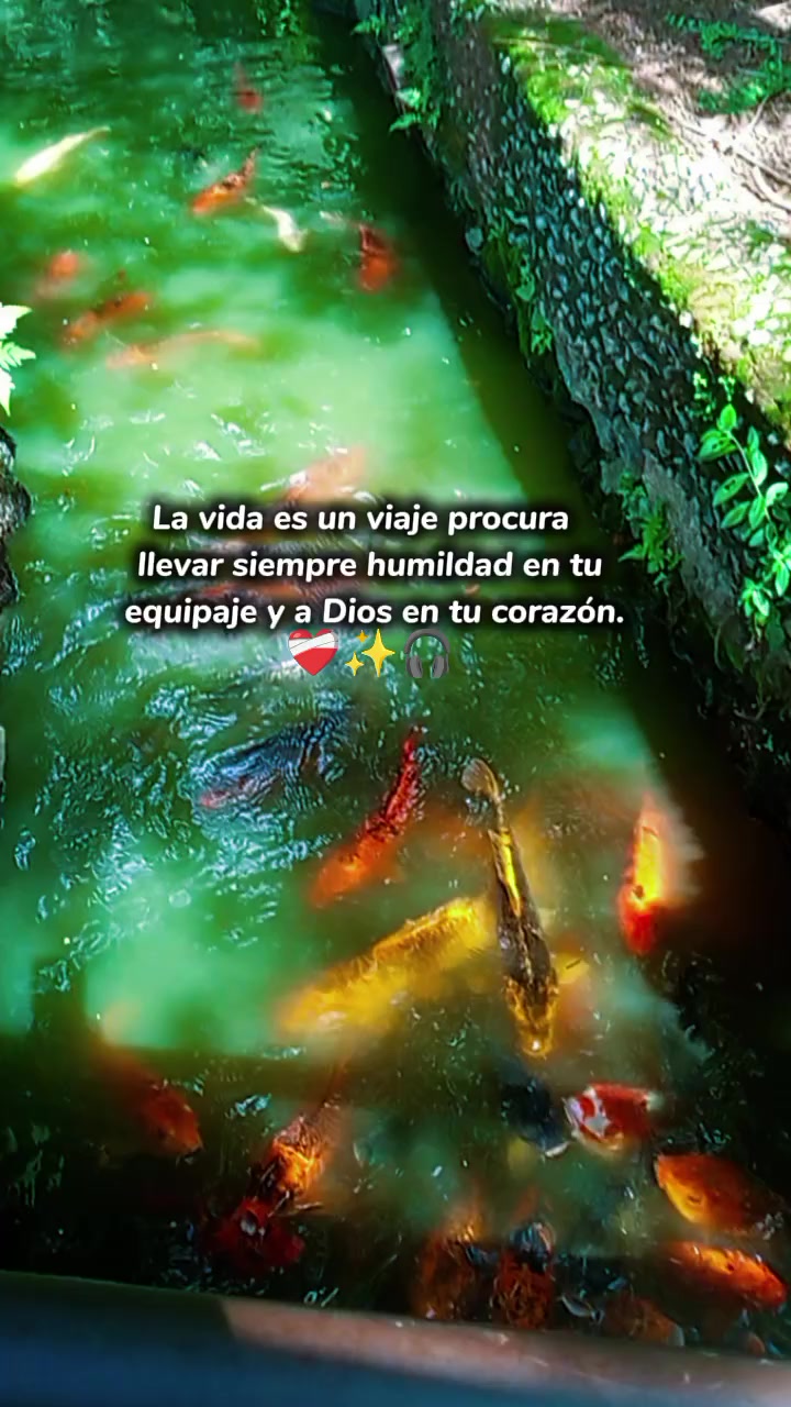 @❤️🔥oicor Jiménez 🌟