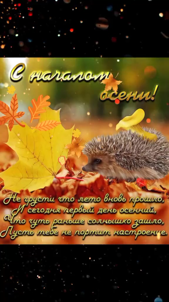 @♥️Альбина ♎