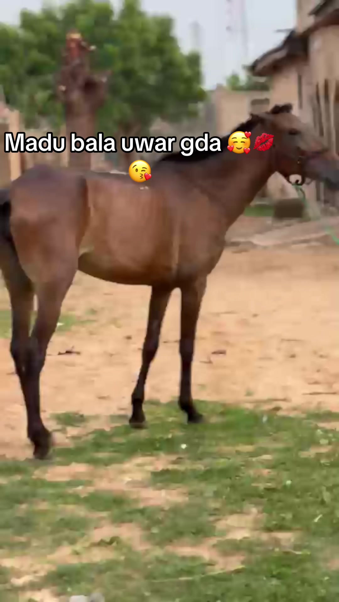 @Habu marafa