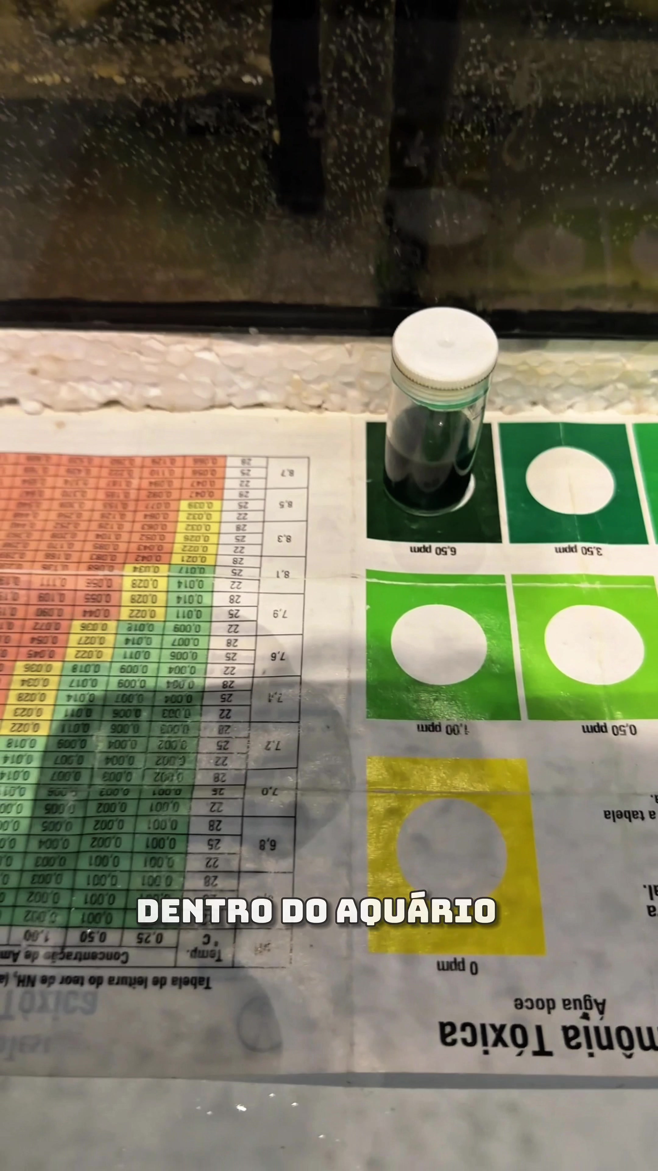 @VIDA DE PESCADOR