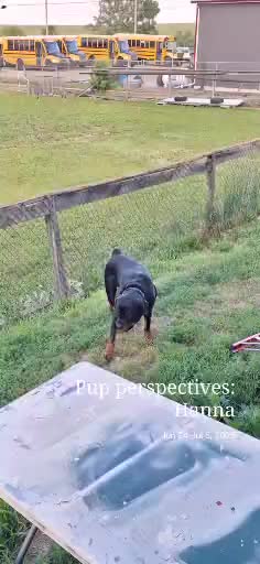 @Poet9696