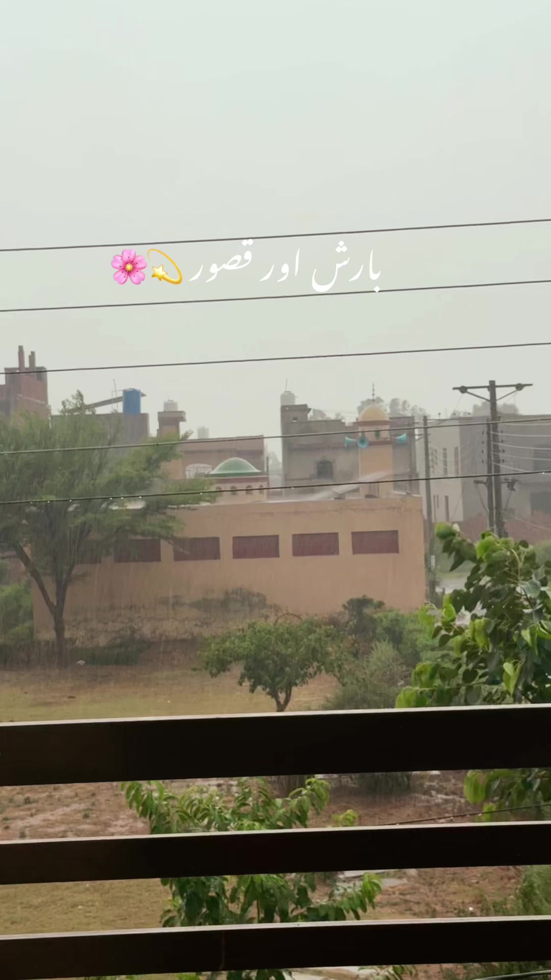 @Dn Laiba Khaliq