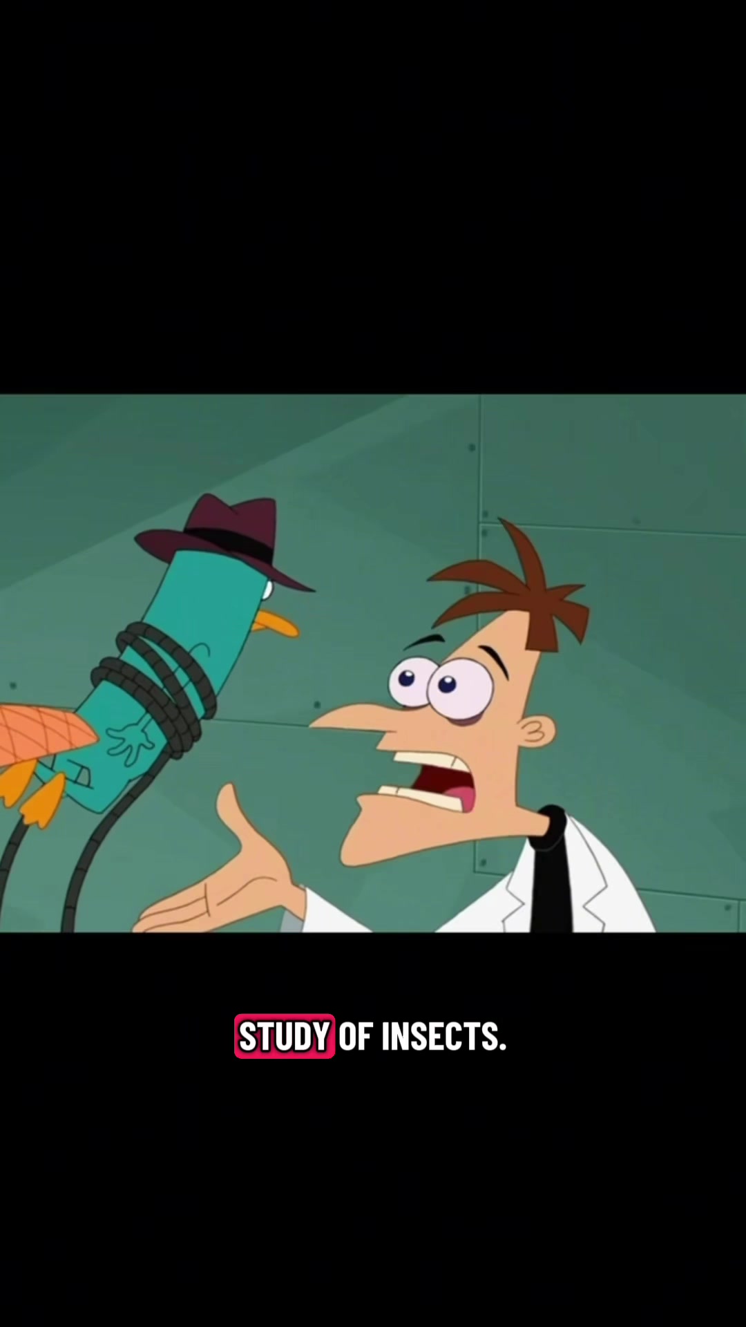 @Dan Povenmire