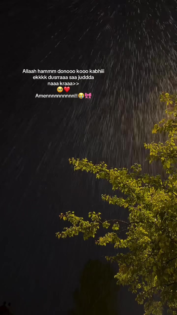 @~𝓢𝓱𝓪𝓶𝓹𝔂⏤͟͟͞͞. 𐙚⋆🌚💗
