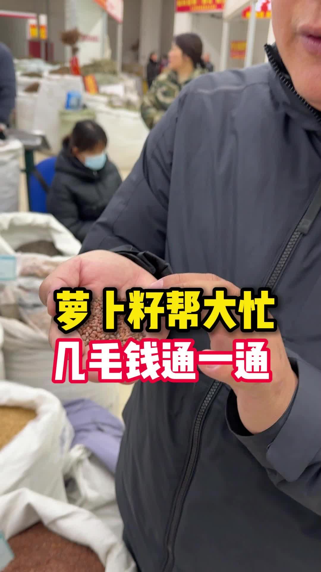 @大头说滋补