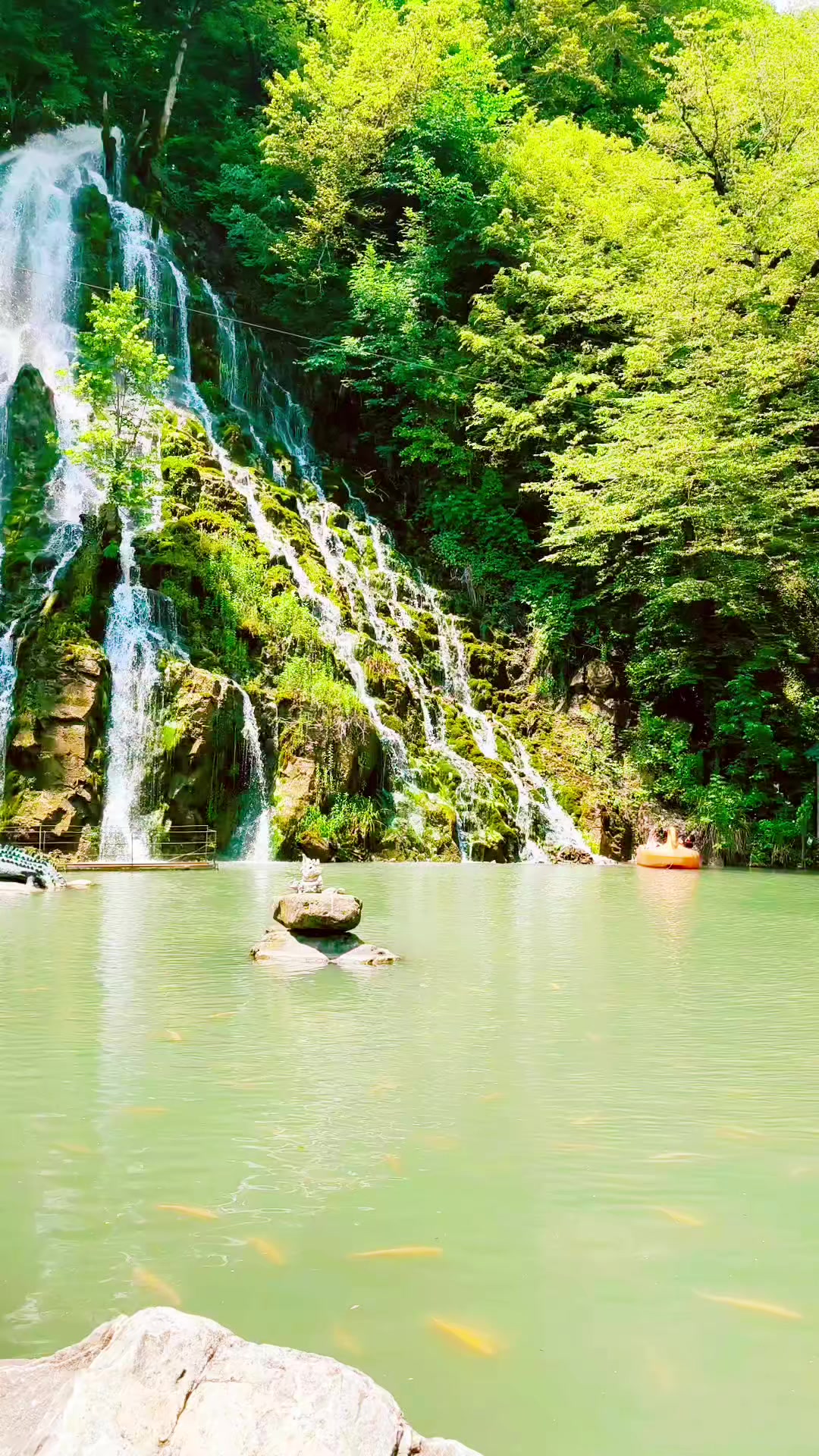 @cahan_askerzade_