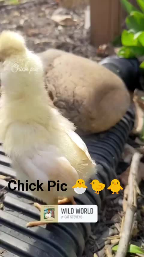 @JackiesModernLyfe