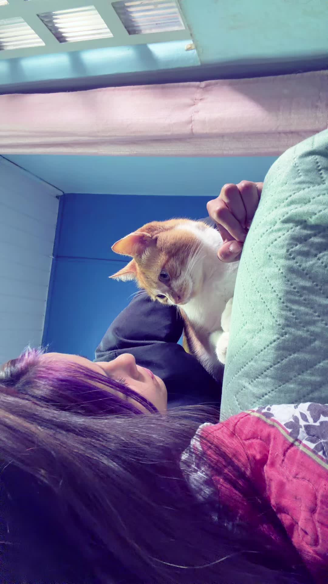 @vekanandre_00