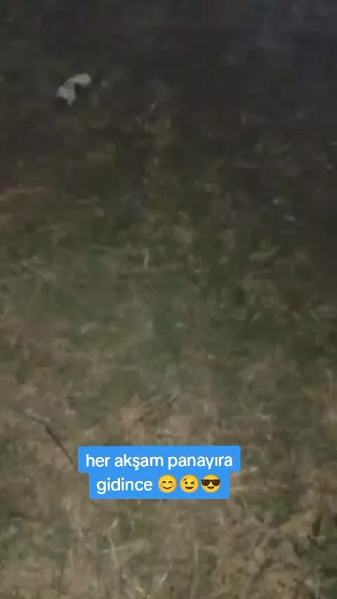 @KARAKAYA ZAHİRE 🌾
