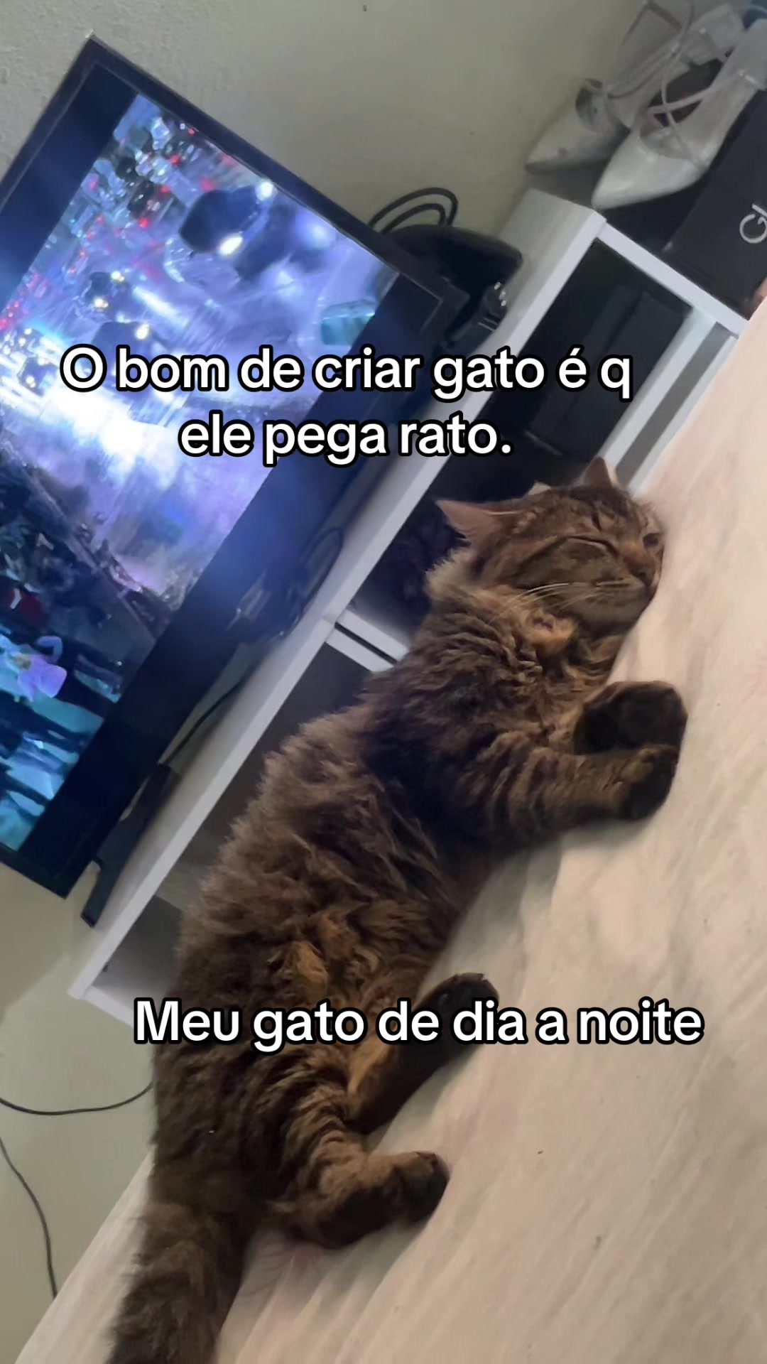 @Joseane Fernandes ✨
