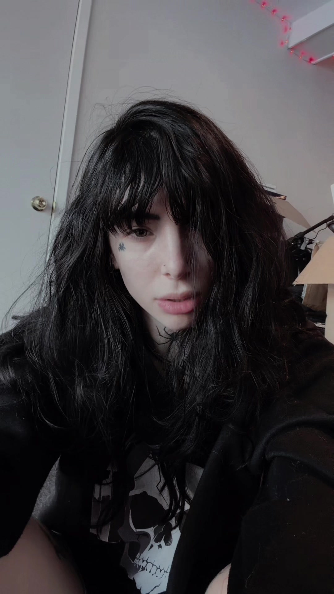@Silk Shadows🕷️