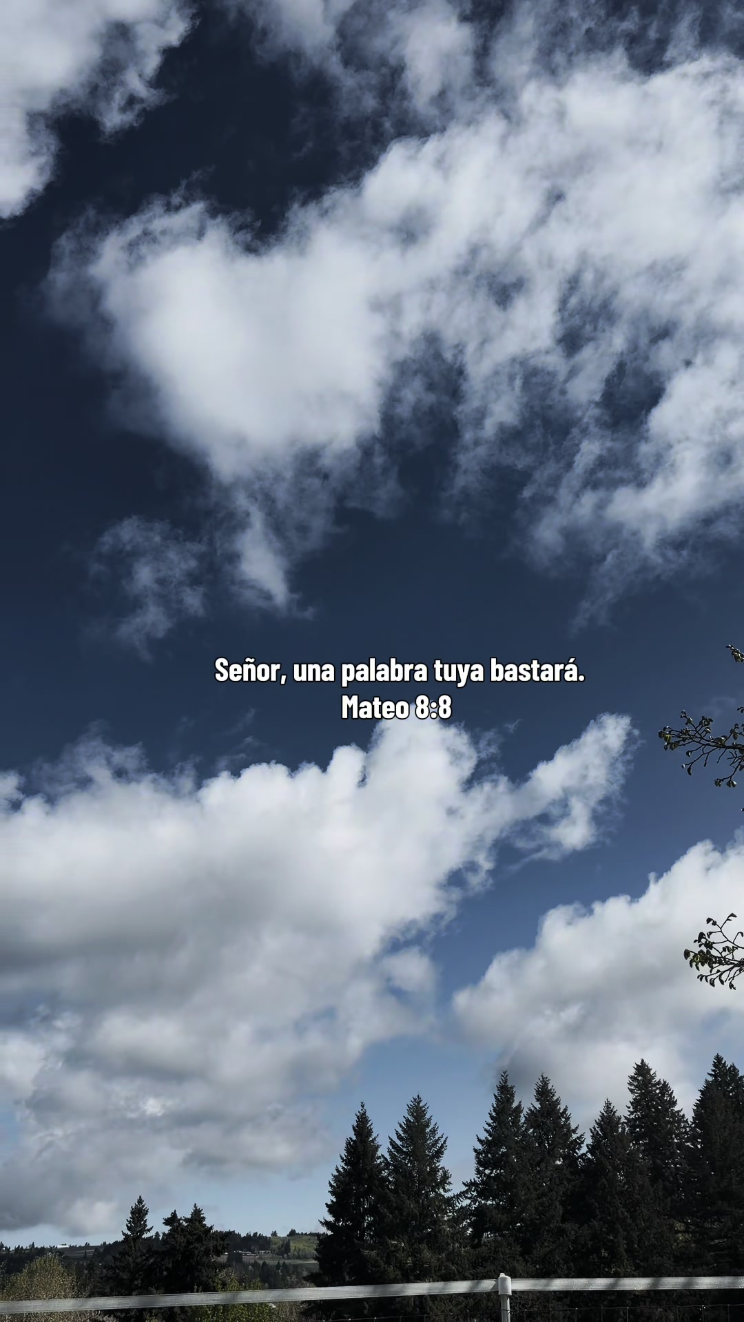@tenemosunproposito