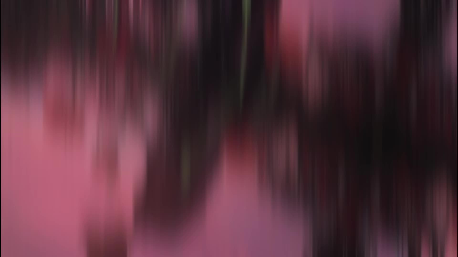 @𝐒𝐀𝐋𝐎𝐎_𝐖𝐑𝐈𝐓𝐄𝐒 🌸