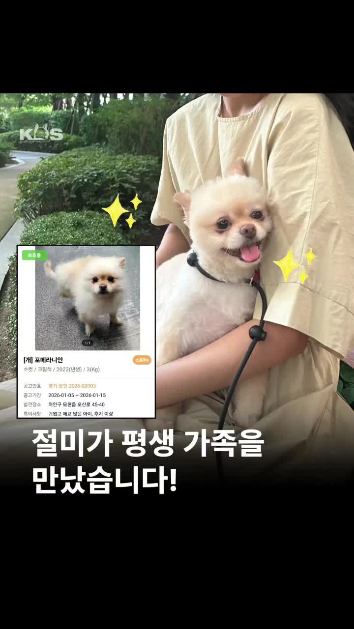 @🐶🐶엄지맘🦮🐕&zwj;🦺🐩