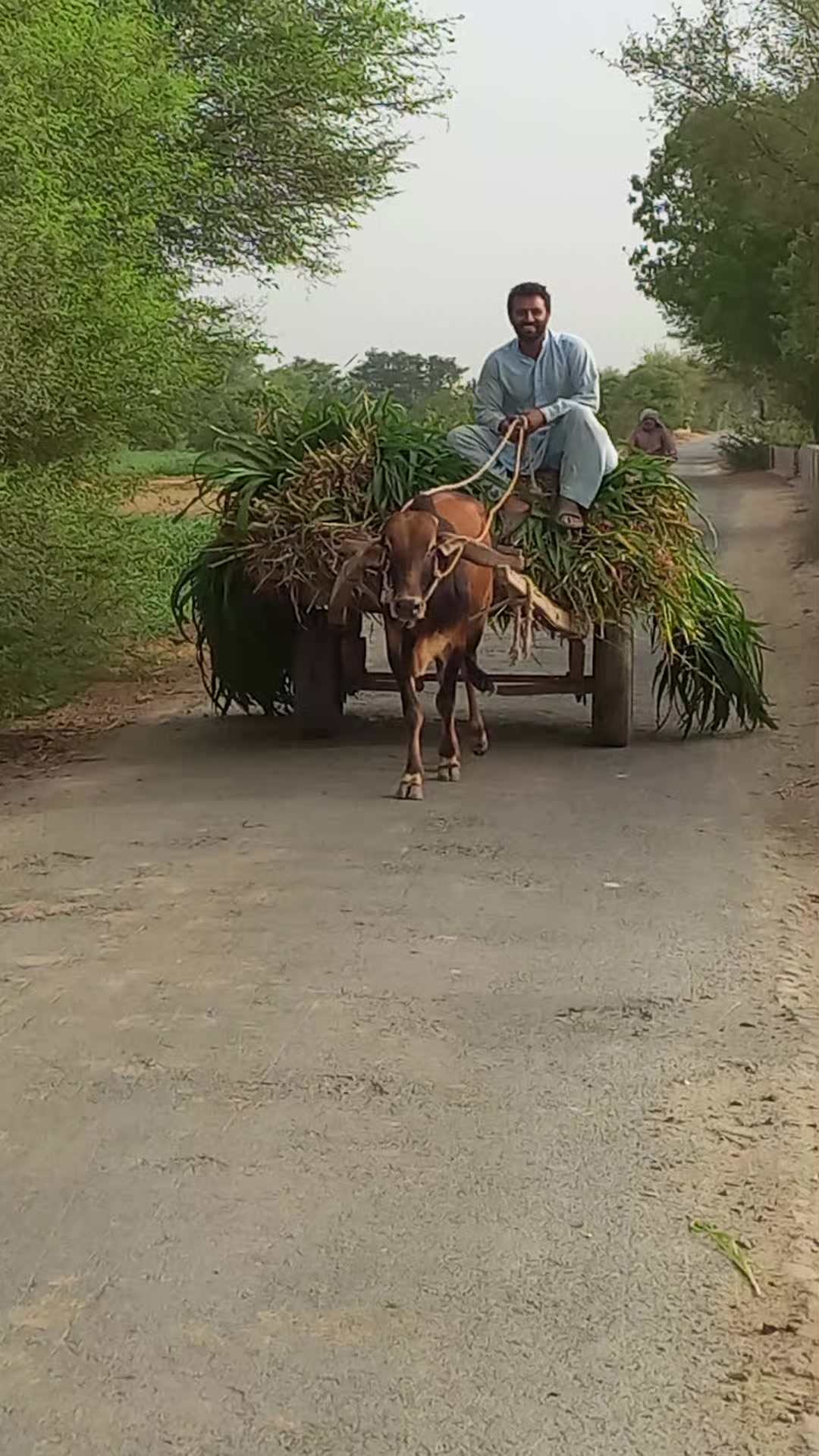@yasirmubeenjalandharya