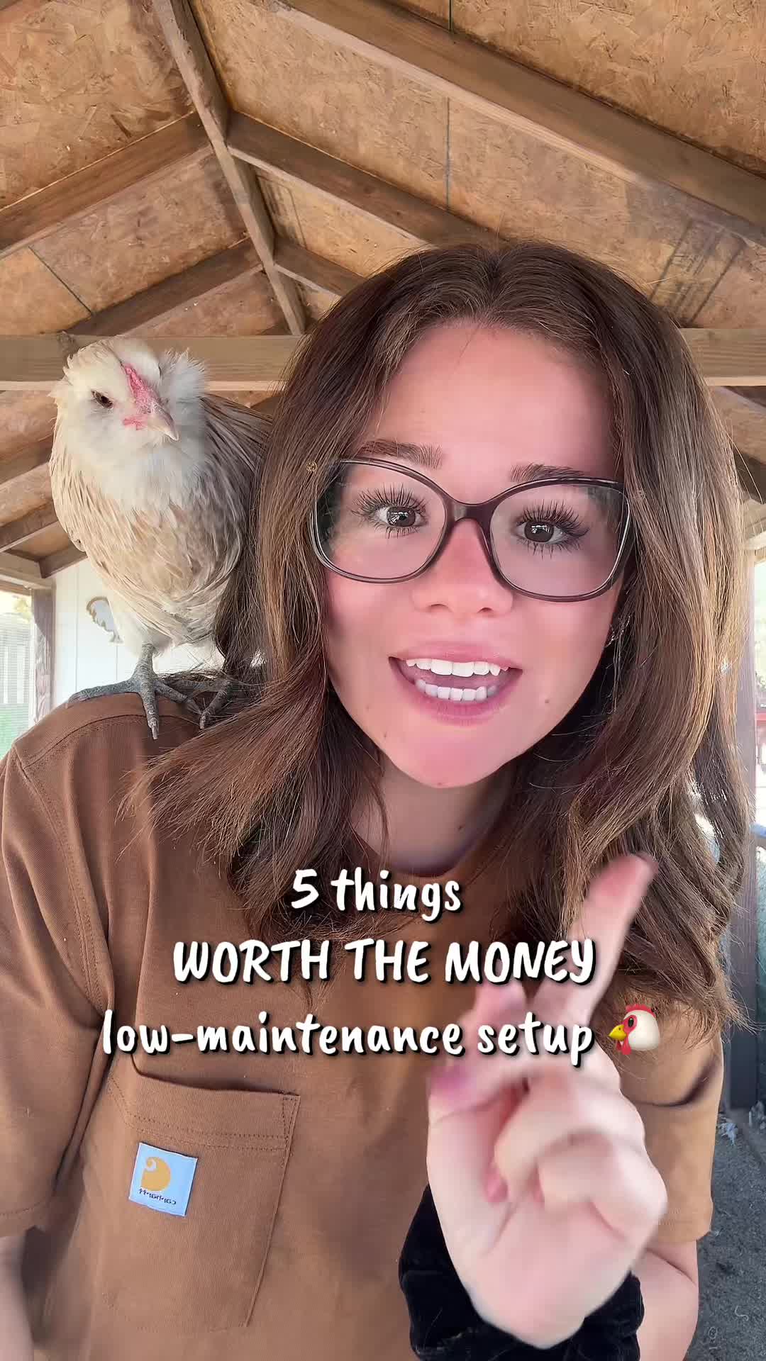 @Simply Chickens