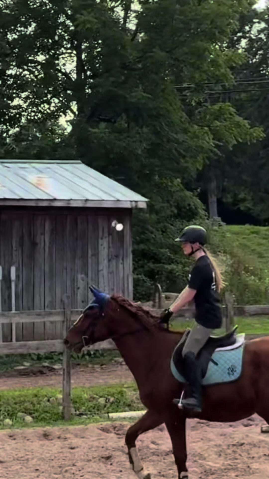@🐎Aby 😌👌✨️