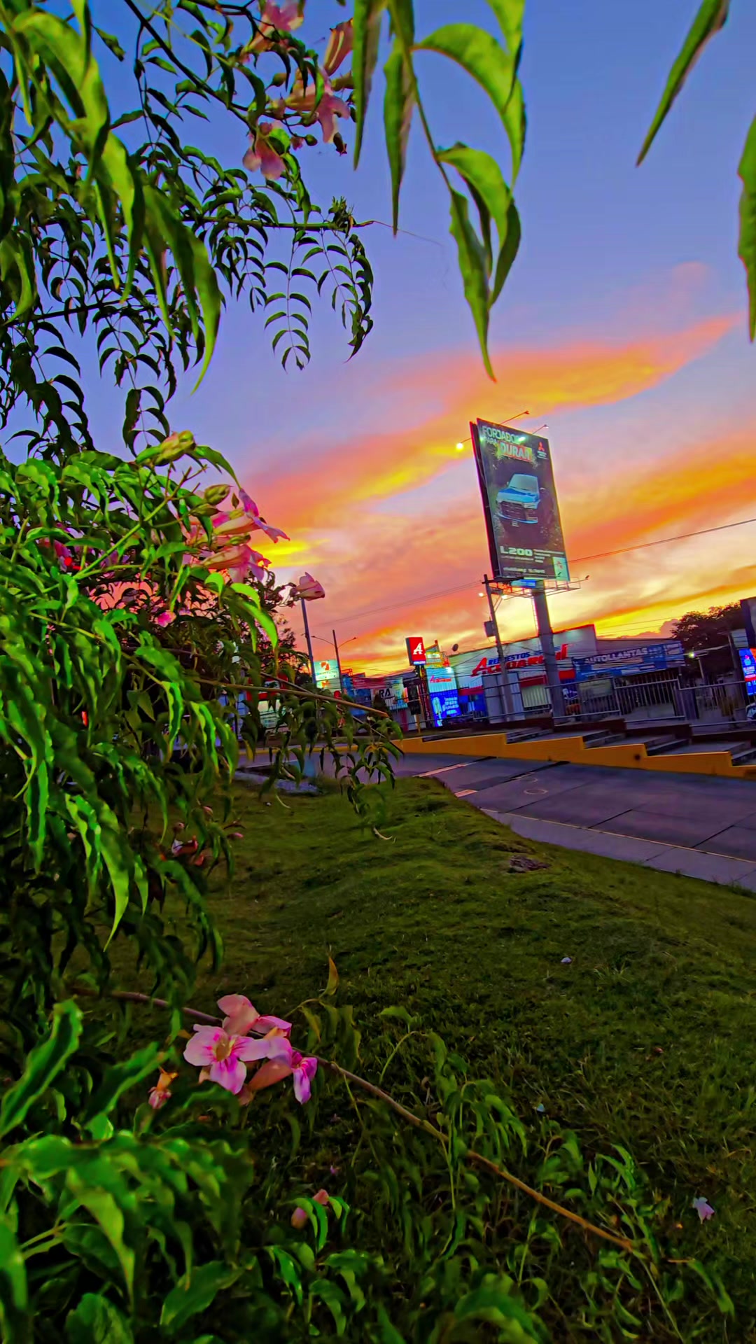 @🌾𝙴 𝚟 𝚎 𝐫 🪐 📸 👑