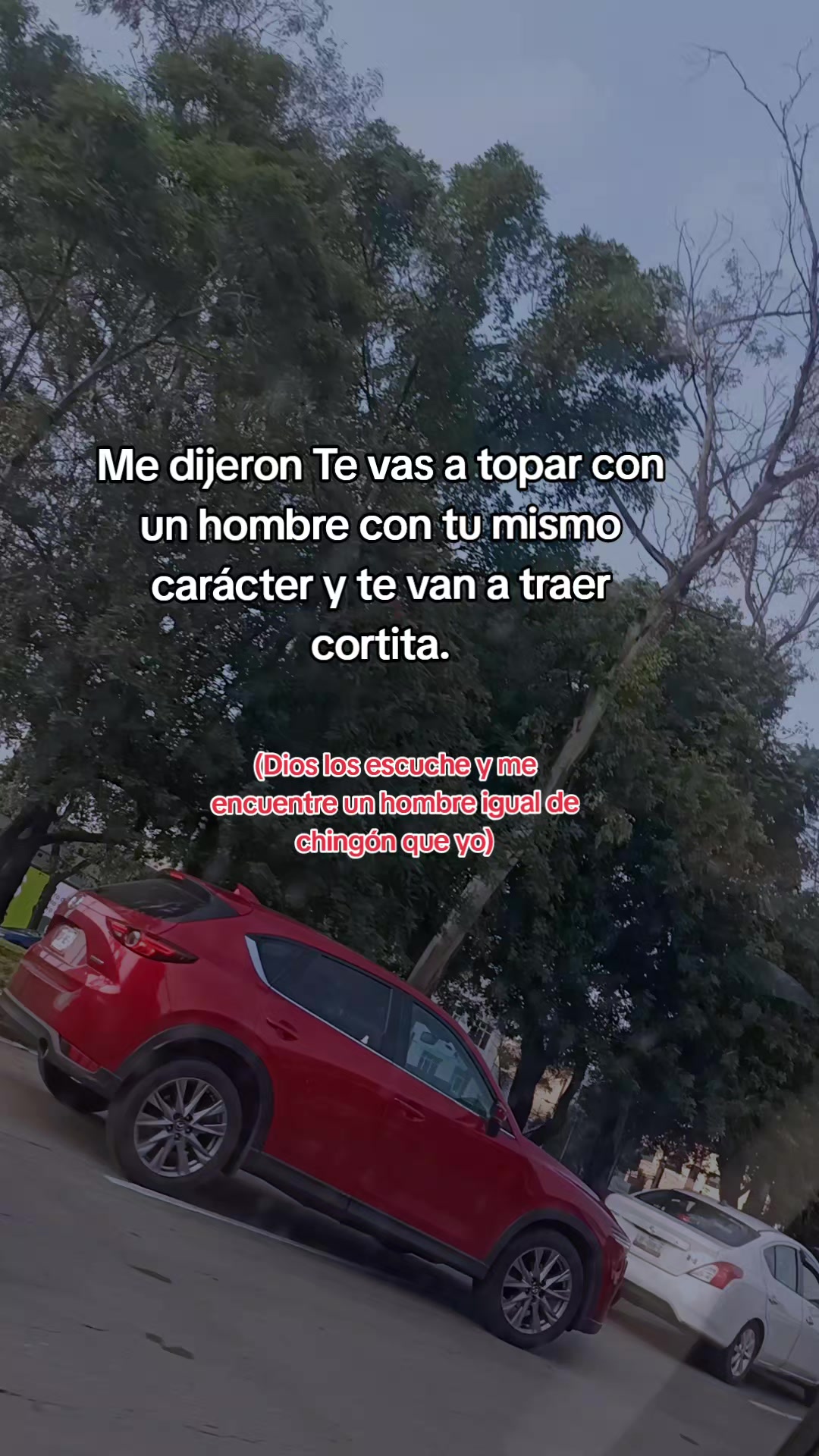 @LuzN