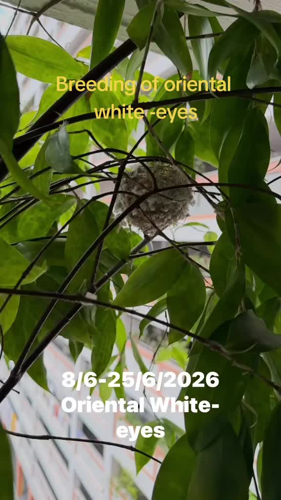 @user870761291605