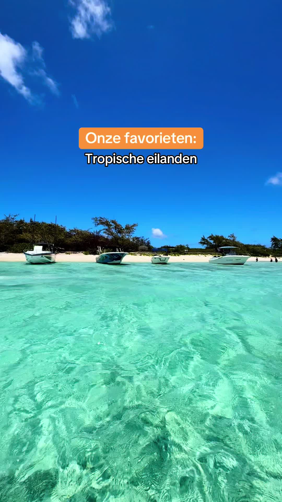 @D-reizen