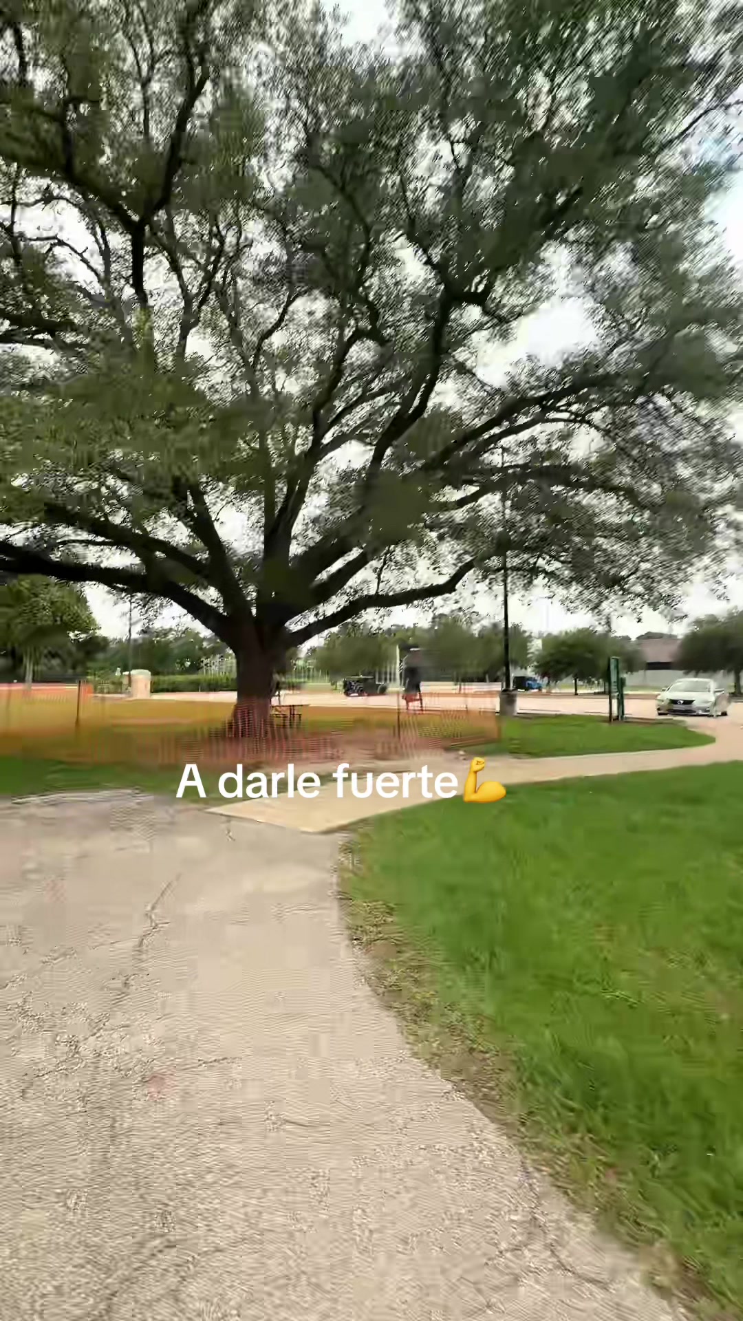 @Vanessa ramirez