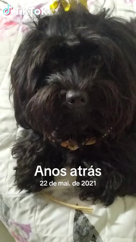 @#Bella#amais#bela.
