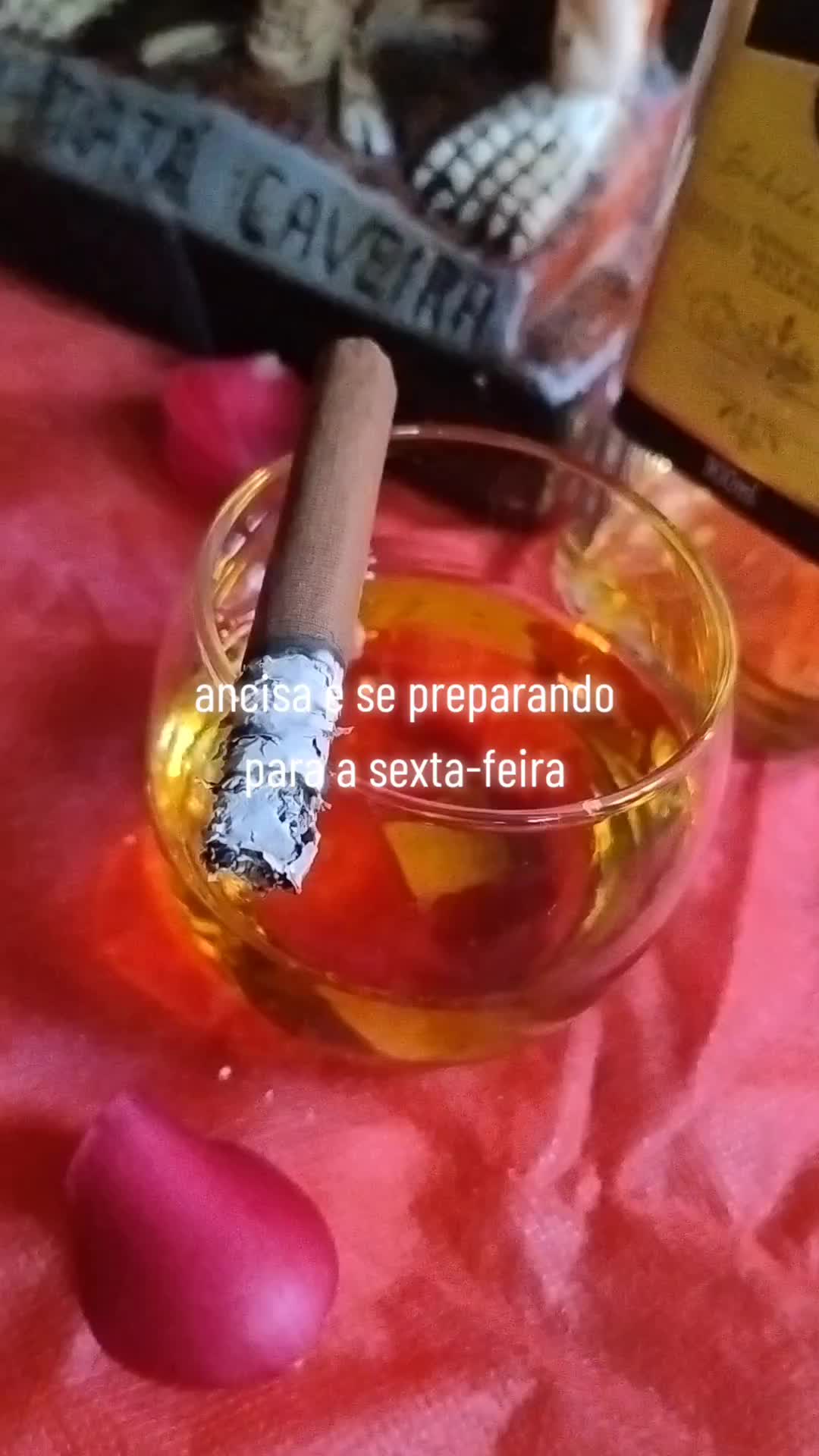 @Senhora da Noite 💃