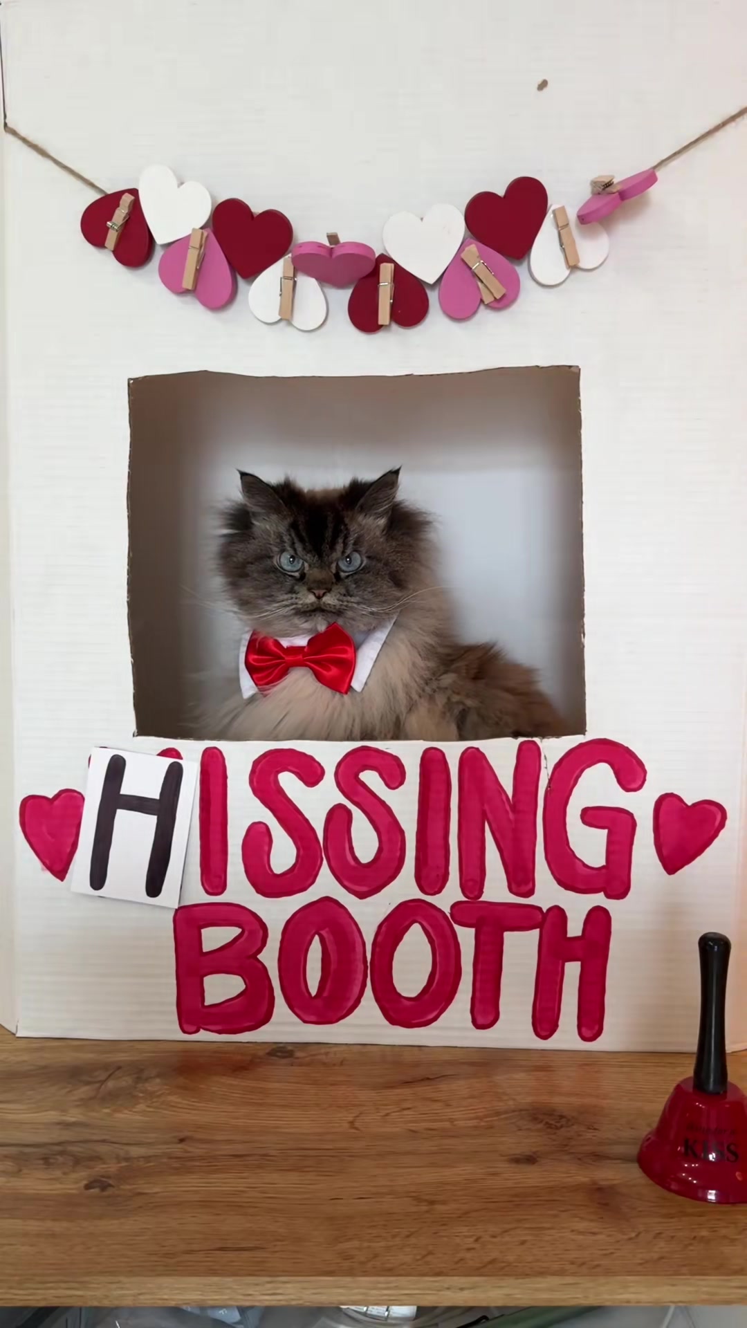 @Merlin Ragdoll