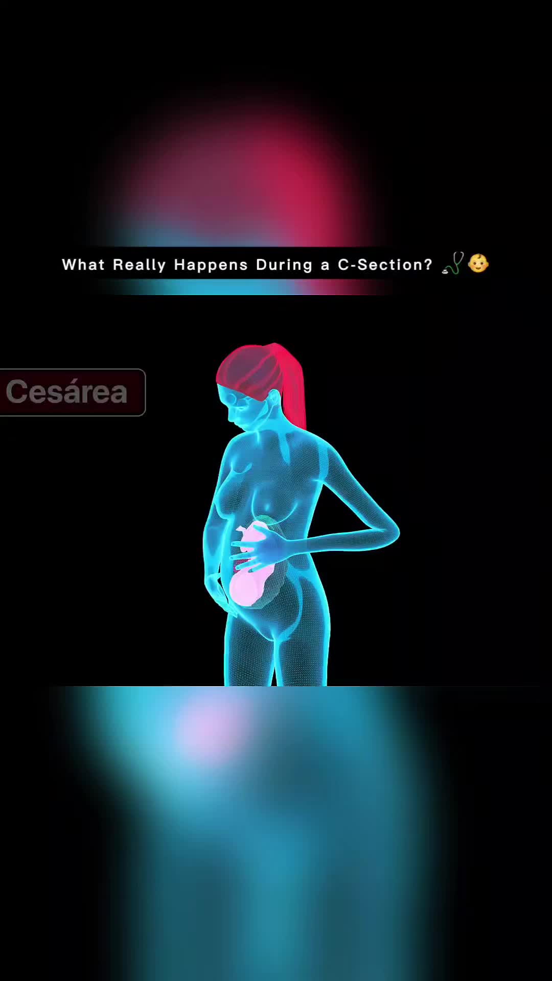 @Femniverse