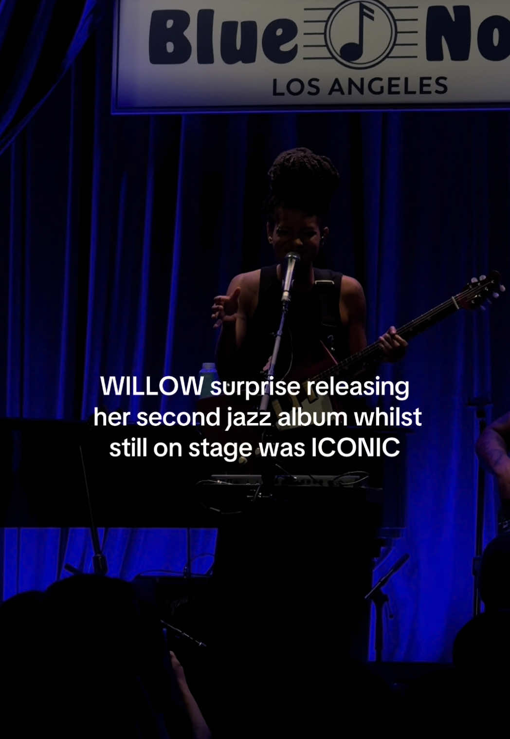 @WILLOW&rsquo;S WORLD