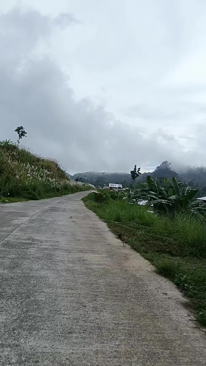 @Betham Morales