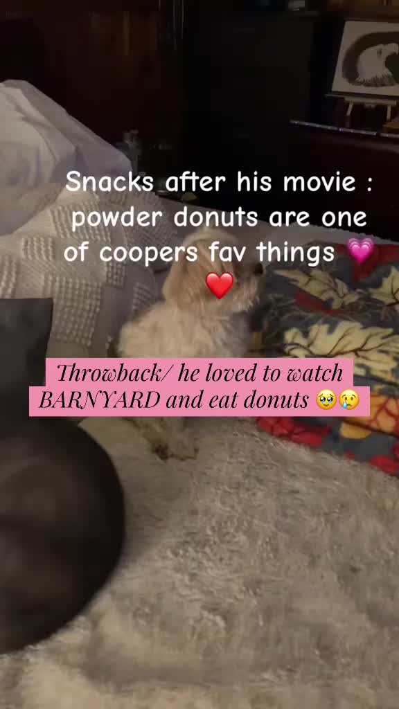 @andreajanahs🖤